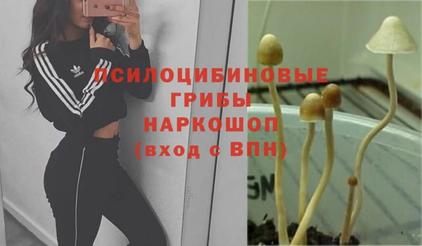меф Бронницы