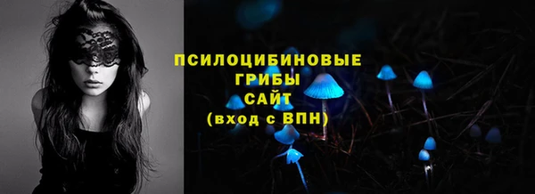 соль курить ск Бородино