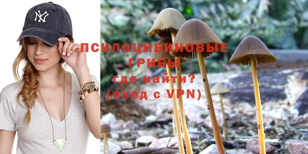 соль курить ск Бородино